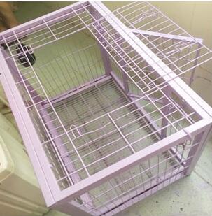 水性金屬漆案例